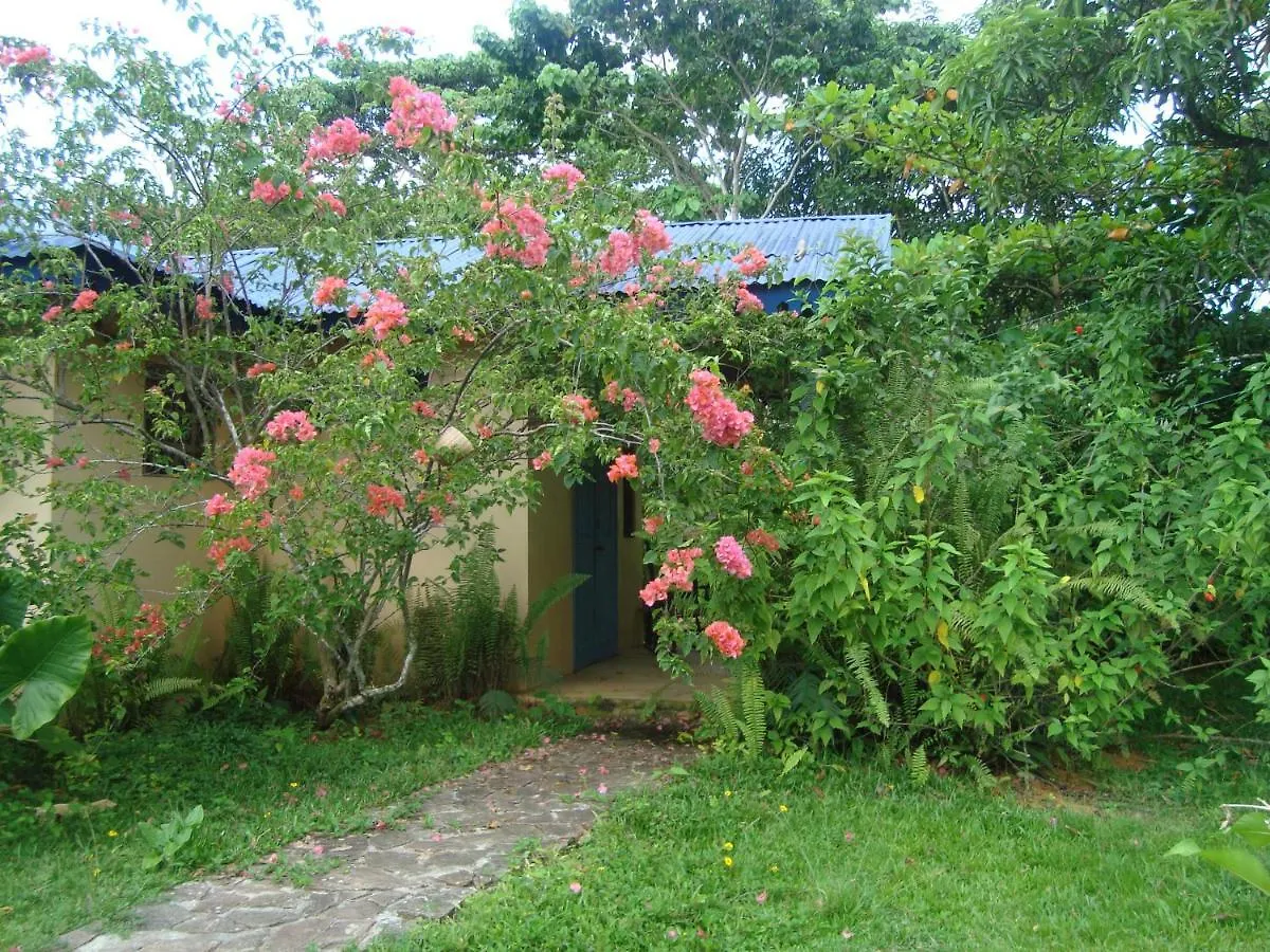 Hostel Fata Morgana Eco Hotel Las Terrenas Dominican Republic