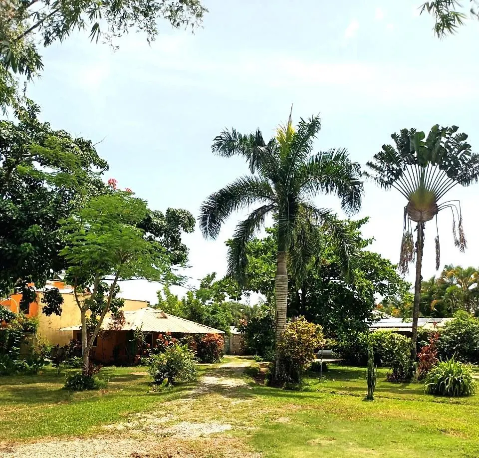 Hostel Fata Morgana Eco Hotel Las Terrenas